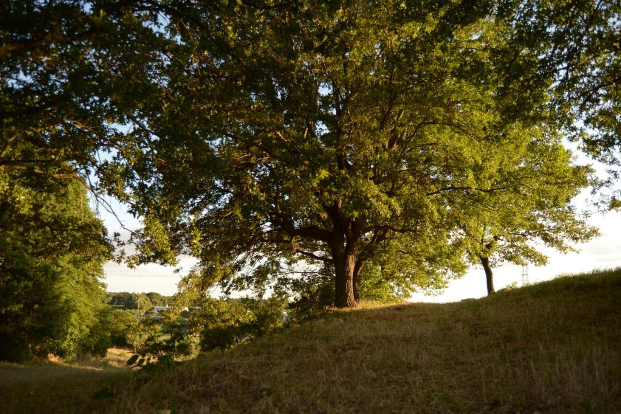 Penzion Par Tot Locorotondo Exteriér fotografie
