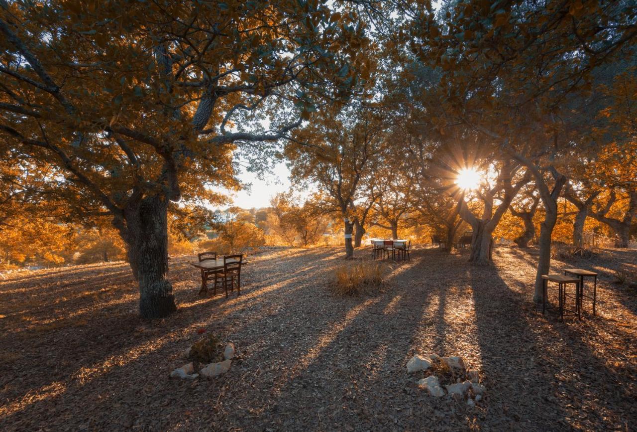 Penzion Par Tot Locorotondo Exteriér fotografie