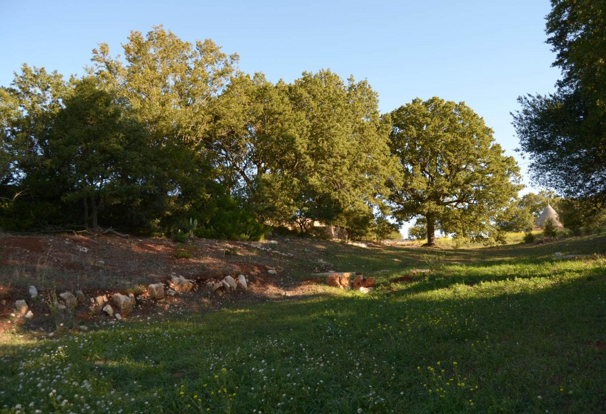 Penzion Par Tot Locorotondo Exteriér fotografie